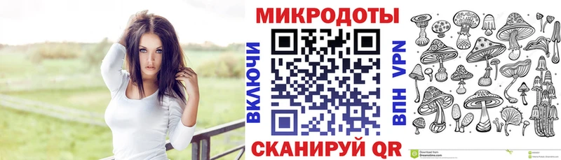 Галлюциногенные грибы Psilocybe Ленинск-Кузнецкий
